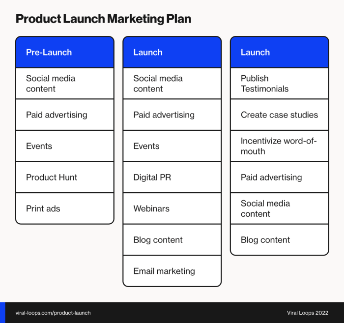 Developing Product Launch Plans