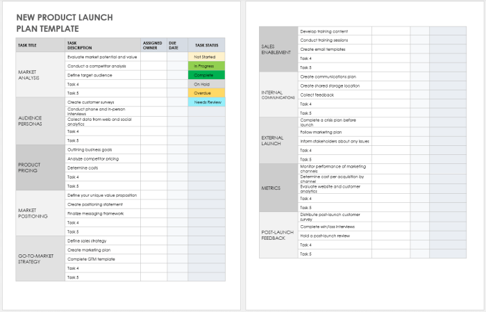 Developing Product Launch Plans