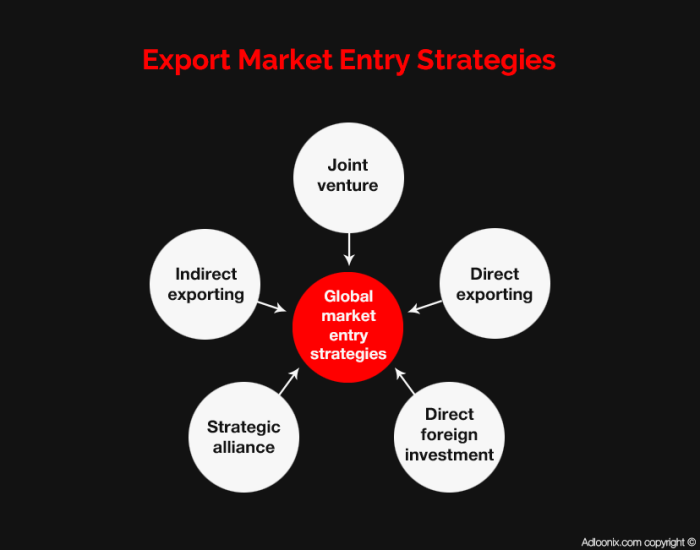 Market Entry Strategies