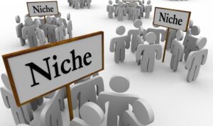 Building a Niche Audience