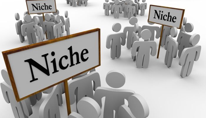 Building a Niche Audience