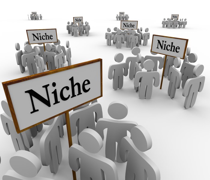 Building a Niche Audience