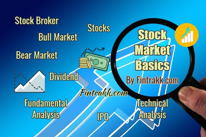 Stock Market Basics