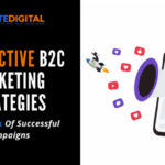 Developing a B2C Sales Strategy