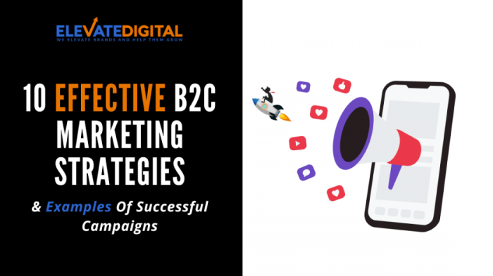 Developing a B2C Sales Strategy