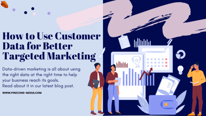 Should marketing strategy shape customer why data visualistan infographic