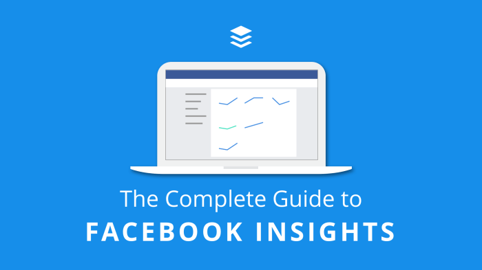 Insights facebook views likes overview post reach business video understanding advertise metrics engagement recent performance