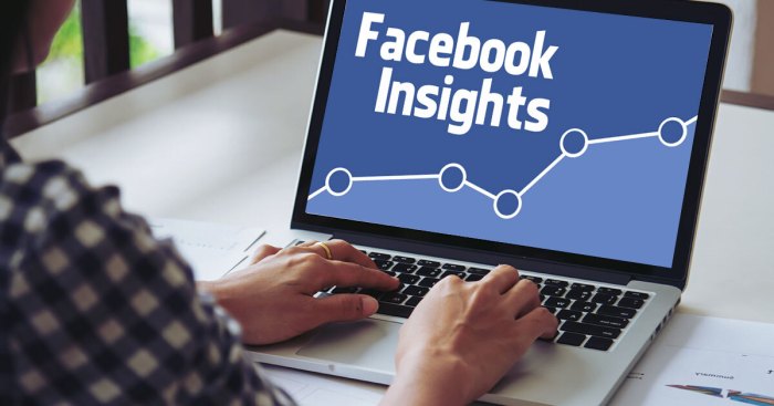 Using Facebook Insights