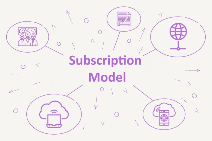 Building a Subscription-Based Model